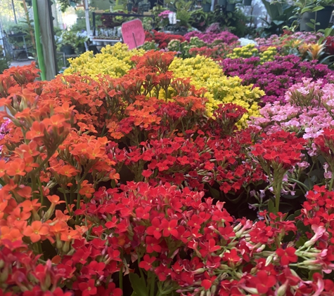 Nelson's Greenhouse - West Hills, CA. ������������
