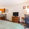 Comfort Inn & Suites gallery