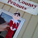 Bertie County Peanuts