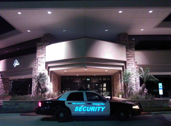 Magnum Force Security - Mission, TX