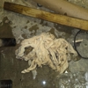 Roto-Rooter Plumbing & Water Cleanup gallery