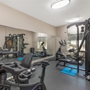 Best Western Plus Lake Dallas Inn & Suites - Hotels