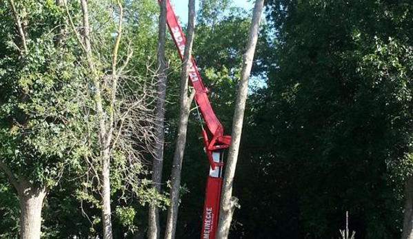 Meinecke Tree And Landscape Services - Montello, WI