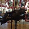 Great Northern Carousel gallery