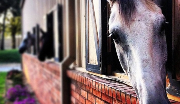 Cadence Equestrian Center - Edmond, OK