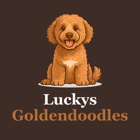 Lucky’s GoldenDoodles