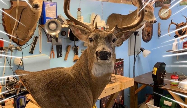 Quiles Taxidermy - Staunton, IN