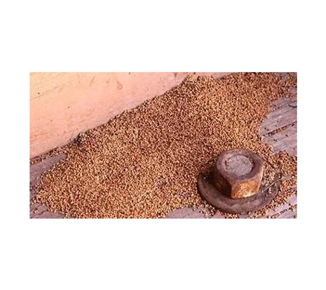 Termite Technology - Albury, NSW