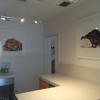 EZ Vet Pet Health Care Center- Animal Hospital gallery