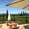 Alloro Vineyard gallery