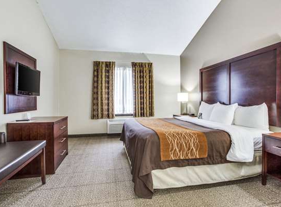 Comfort Inn & Suites Love Field-Dallas Market Center - Dallas, TX