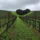 Niner Wine Estates