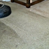 Carpet Pro's gallery