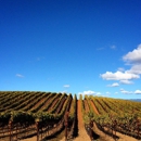 Williams Selyem Winery - Wineries