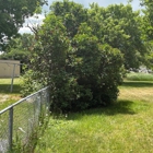 T&G Tree Service