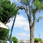 Torres Tree Services