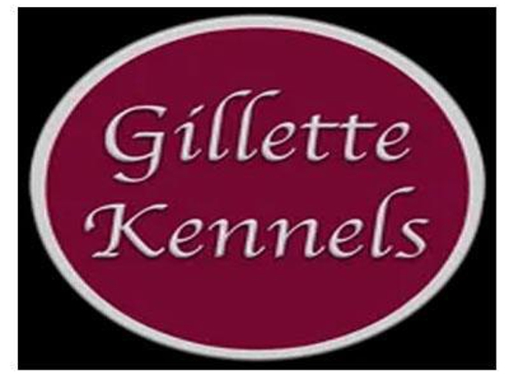 Gillette Kennels - Galesburg, MI