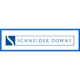 Schneider Downs & Co Inc