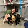 Patton Veterinary Hospital gallery
