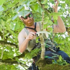 Treeworx Tree Service