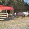 Sam Turner rd Farm Horse boarding gallery