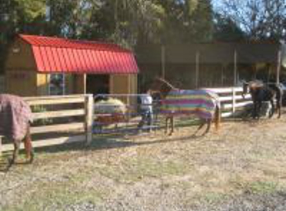 Sam Turner rd Farm Horse boarding - Iva, SC