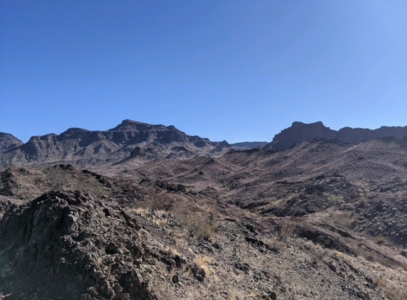 Buckskin Mountain State Park - Parker, AZ