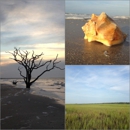 Botany Bay Plantation Heritage Preserve/ Wildlife Management Area - Tourist Information & Attractions