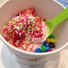 YogurtLand gallery