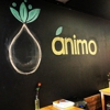 Animo Juice gallery