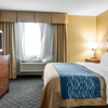 Comfort Inn & Suites gallery