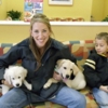 Wellesley Animal Hospital gallery