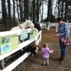 Hunt Club Farm gallery