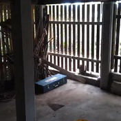 Gallery Image Number 7