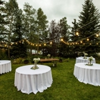 Blingle Premier Lighting