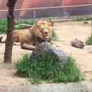 Los Angeles Zoo and Botanical Gardens - Zoos