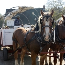 Dollinger Family Farm - Farms