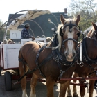 Dollinger Family Farm