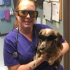 Lebanon Road Animal Hospital gallery