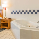 Quality Inn - Motels