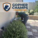 Gopher Champs - Pest Control Services
