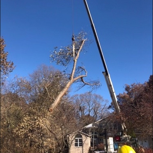 Rumble Bee Tree Service - Springfield, IL