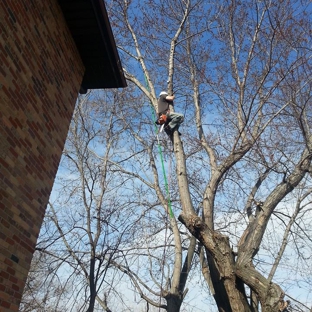 Tree Service Pros of Lincoln - Lincoln, NE