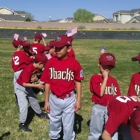 Paradise Hills Little League