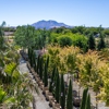 Moon Valley Nurseries gallery
