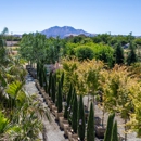 Moon Valley Nurseries - Nurseries-Plants & Trees