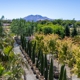 Moon Valley Nurseries