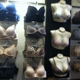 Soma Intimates