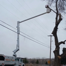 Toogood Tree Service PO Box 44 Worden, MT 59088 - Tree Service
