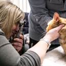 Parkville Animal Hospital - Veterinary Clinics & Hospitals